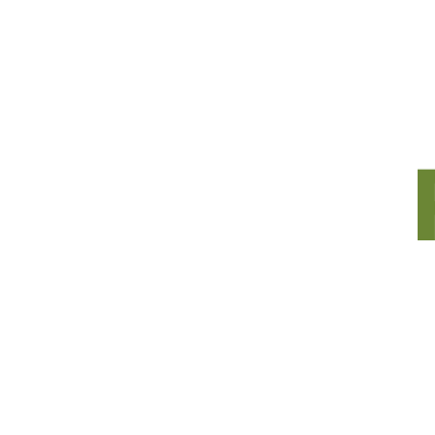 toothport dental