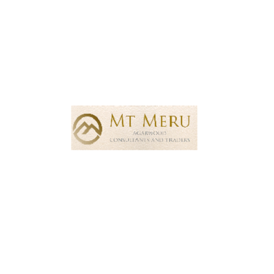 Mt Meru Consultants