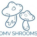 DC Shrooms