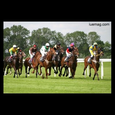 deborahwilliams4 deborah