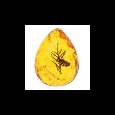 Amber Krafts amberkrafts